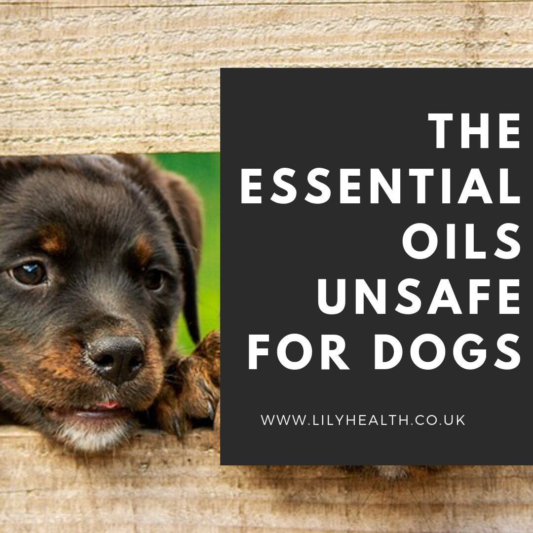 essential-oils-unsafe-for-dogs-protect-your-canine-friend